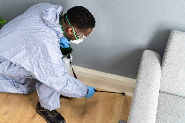 Best Termite Inspection and Treatment  in Wayne, MI